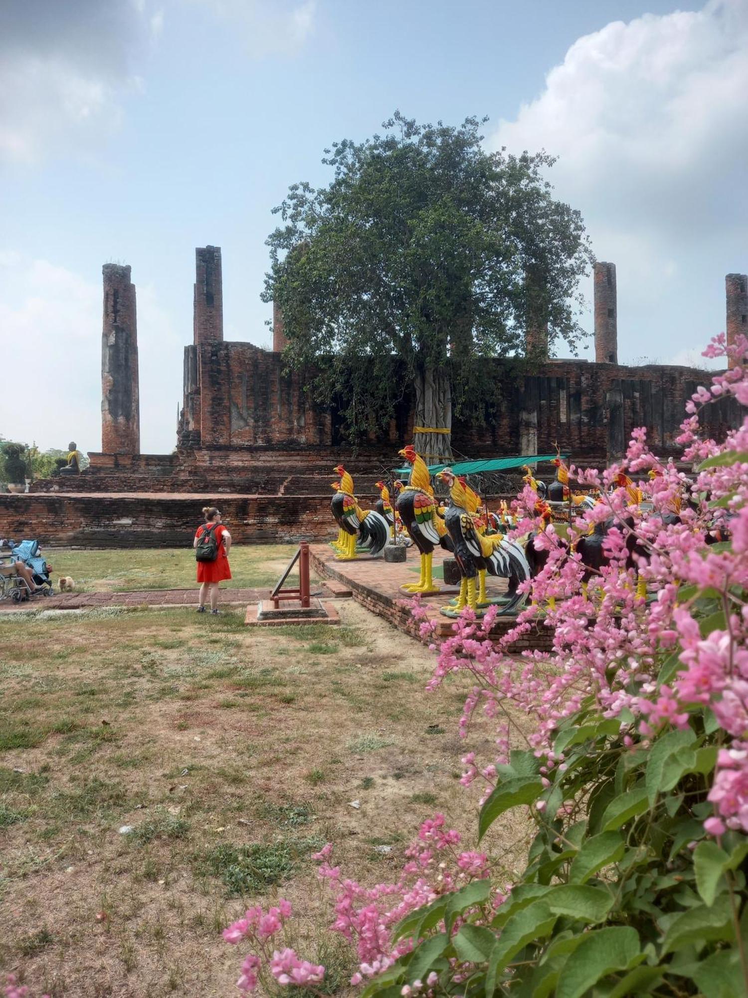 Plus Hostel Ayutthaya Bagian luar foto